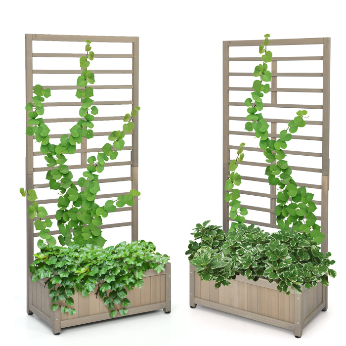 Plant Raised Bed with Trellis for Flower Climbing - 2 - Image 1