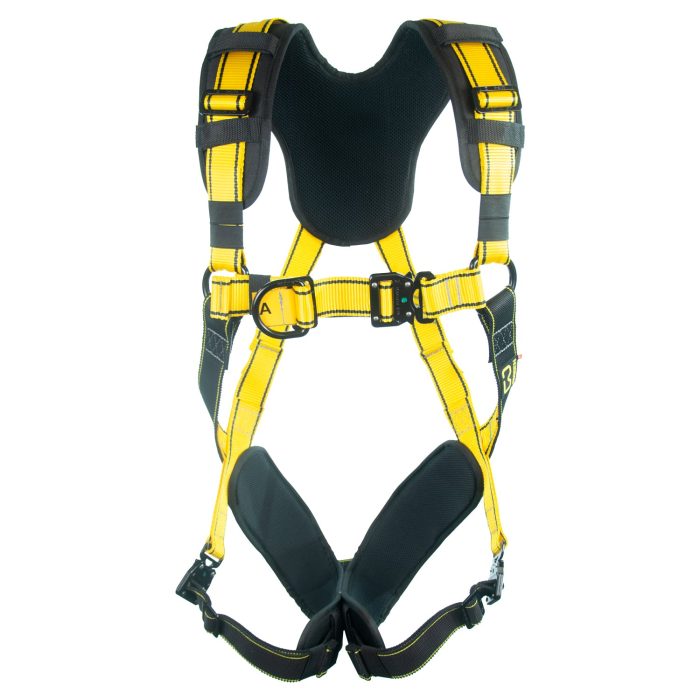 BIGBEN® BIGGUY Deluxe Comfort Plus Padded 2 Point Safety Harness - Quick Release - Image 1
