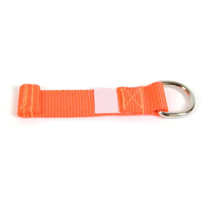 Heavy-Duty Webbing, D-Ring Attachment - Small - Image 1