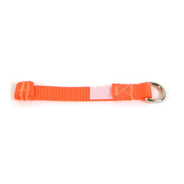 Heavy-Duty Webbing, D-Ring Attachment - Large - Image 1