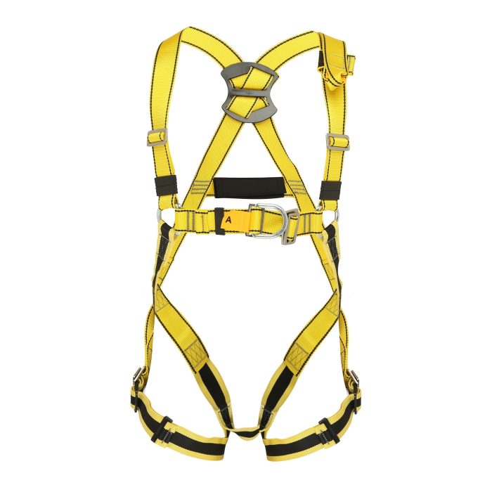 BIGBEN® Deluxe 2 Point Safety Harness - XS/M 1 - Image 1